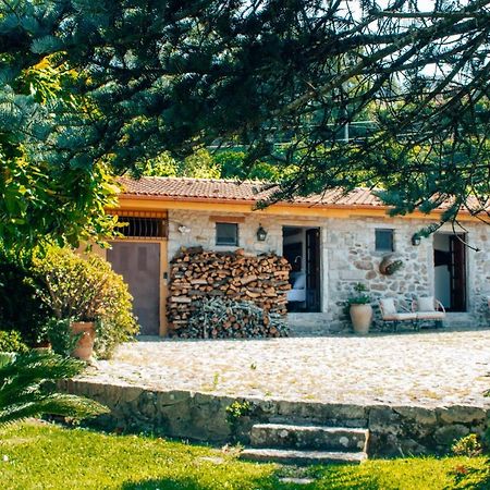 Bed and Breakfast The Quixote House Caminha Exteriér fotografie